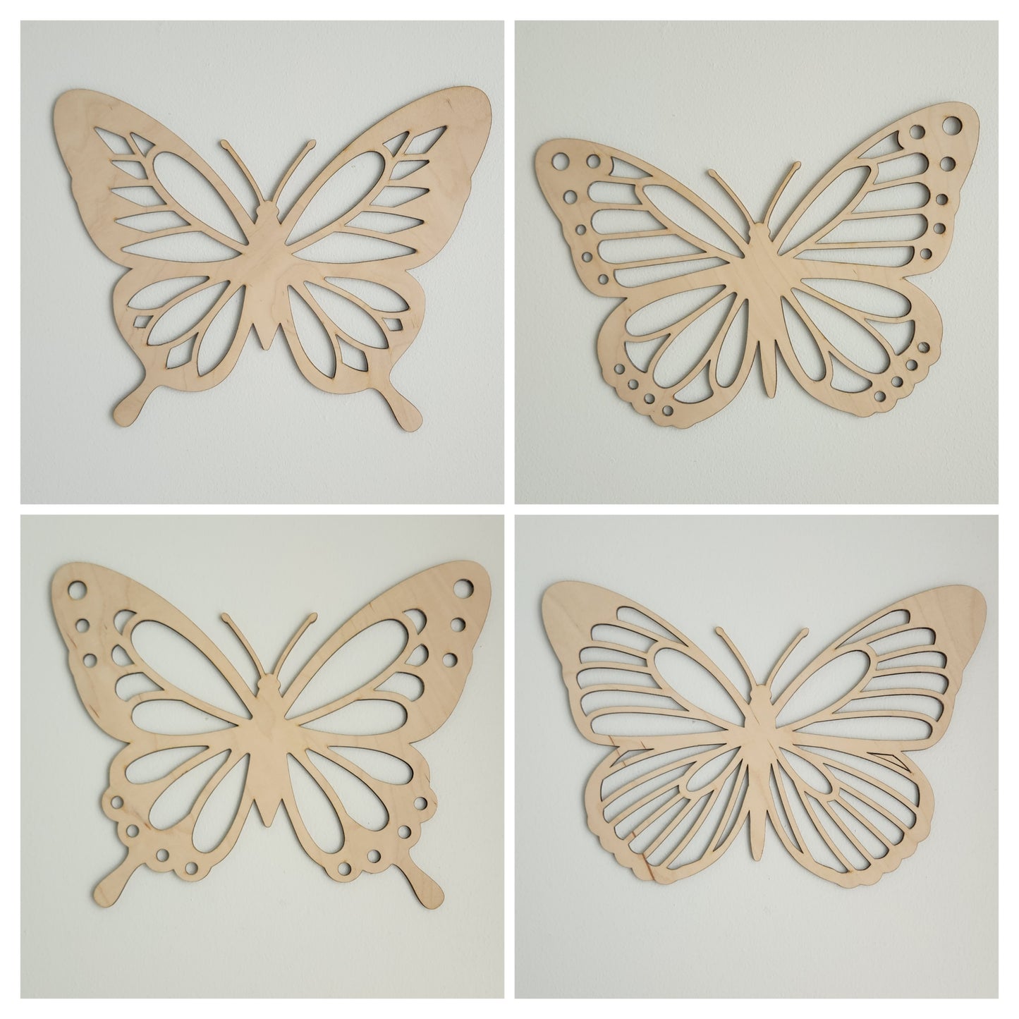 Butterflies